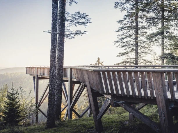 Barrierefreie Aussichtsplattform über den Ellbachsee und das Ellbachtal