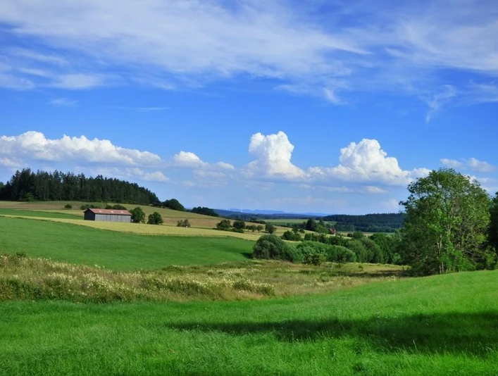 Blick vom Ostweg zum Forchenkopf