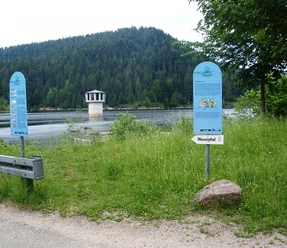 Der Wasserpfad am Stausee Kleine Kinzig