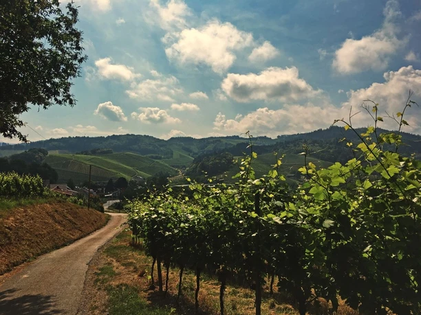 Weg zur Kapelle St. Wendelin