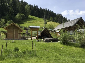 Wald-Kultur-Haus Bad Rippoldsau