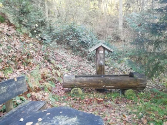 Neuwiese Brunnen am "Brünnelesweg"