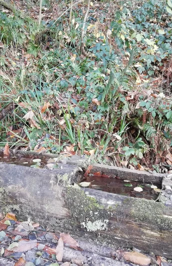 Grimms-Märchenbrunnen