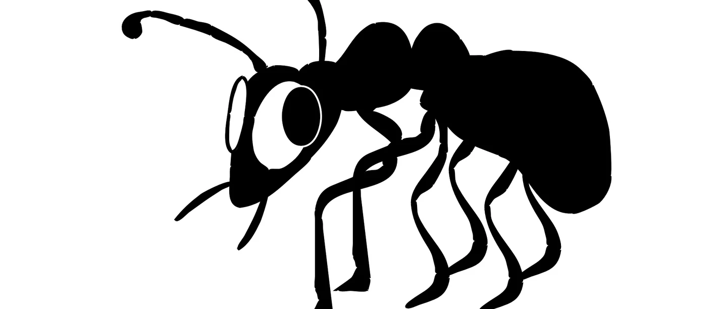 Lach-Yoga-Weg Freudenstadt: Station 1