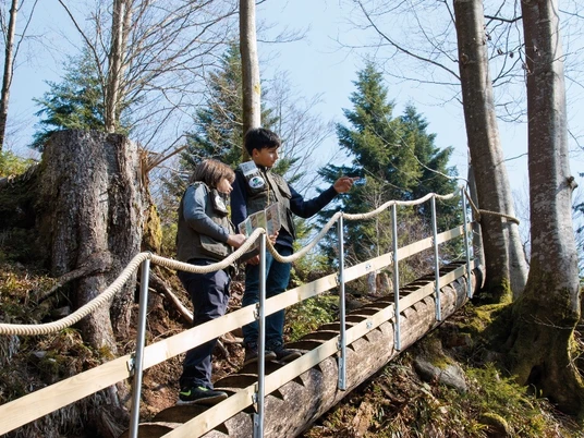 Baumtreppe am Pirschpfad
