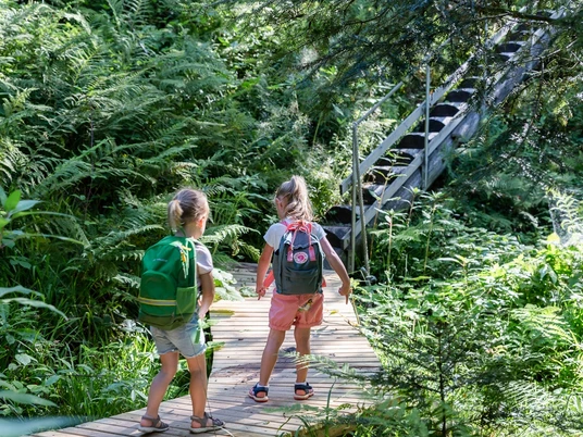 Baumtreppe am Pirschpfad