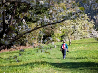 Bergwiesen am Urbanskreuz