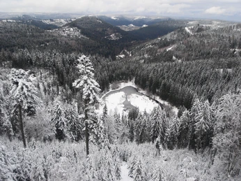 Ellbachseeblick Winter