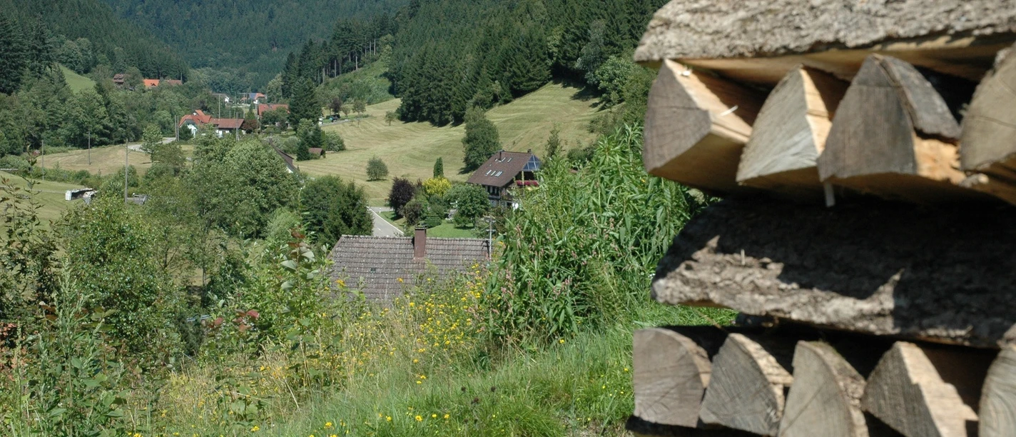 Blick auf das Wolftal