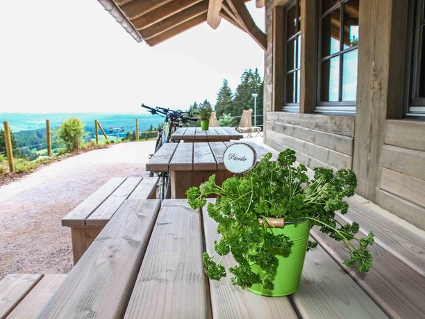 Panoramaterrasse Berghütte Lauterbad
