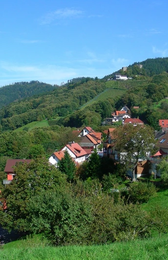 Blick von Waldmatt zur Burg Windeck