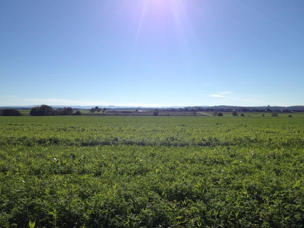 Blick auf die Schwäbische Alb