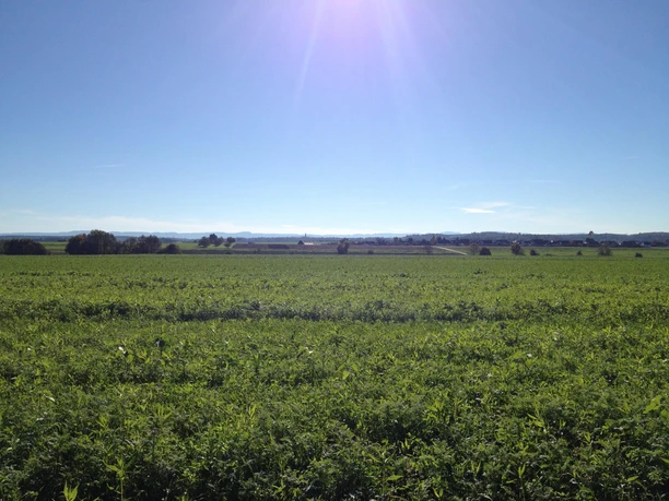 Blick Schwäbische Alb