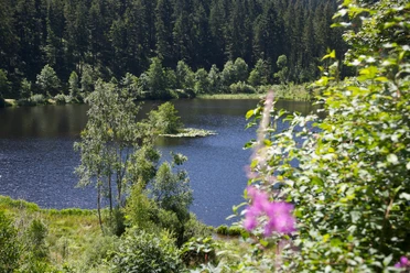 Am Sankenbachsee Kinder Großeltern
