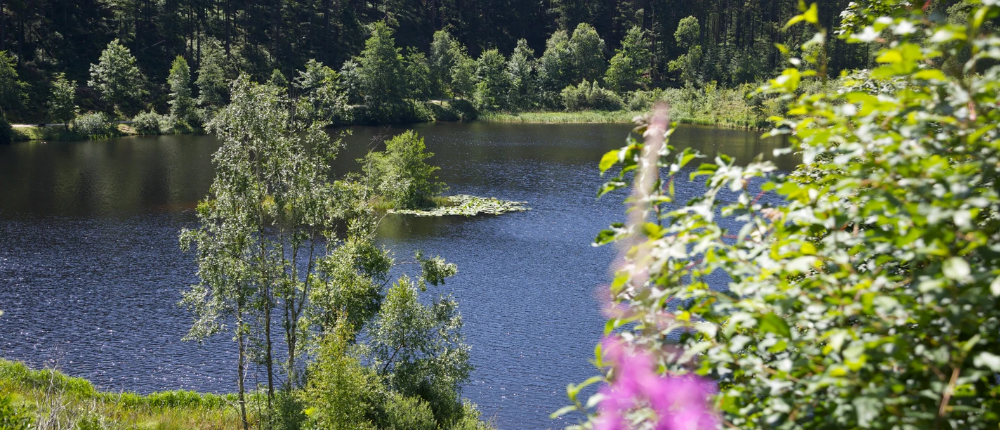 Am Sankenbachsee Kinder Großeltern