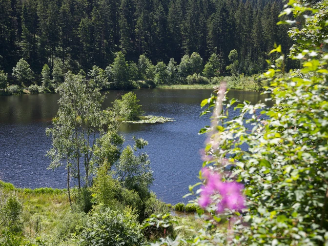 Am Sankenbachsee Kinder Großeltern