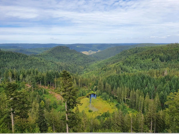 Donnerstag, 27. August 2020 15:24:45