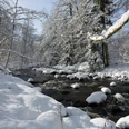 Der Langenbach im Winter