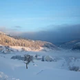 Tonbachtal im Winter