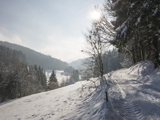 Das Reichenbachtal im Winter