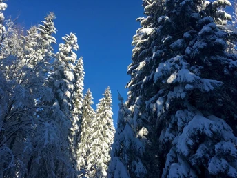 Winterlandschaft Loßburg
