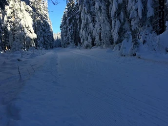 Winterlandschaft Loßburg