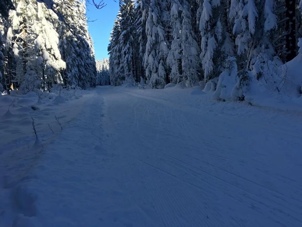 Winterlandschaft Loßburg