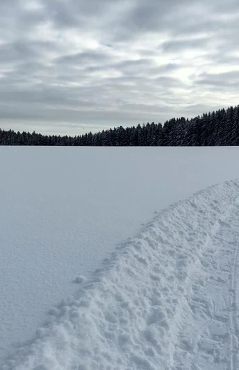 Loßburg Büchenbergspur
