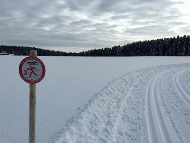 Loßburg Büchenbergspur