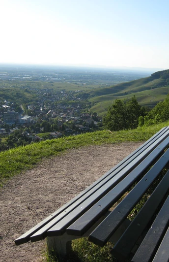 Blick von Bühlertal auf die Rheinebene