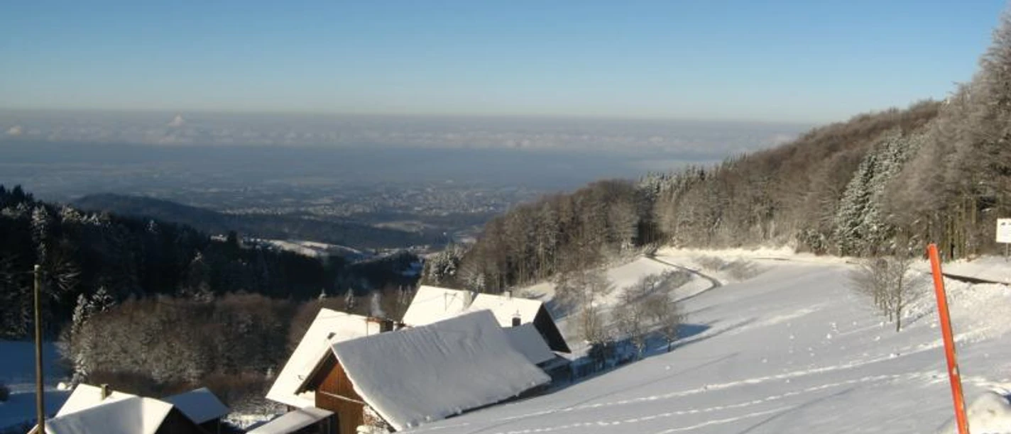 Blick von der Brandmatt in die Rheinebene