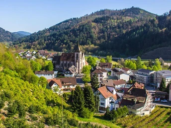 Blick auf Lautenbach