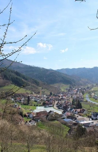 Blick auf Lautenbach