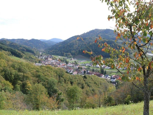 Herbststimmung auf dem Panoramaweg