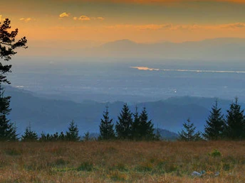Das Naturschutzgebiet Schliffkopf. Naturschutzgebiet Schliffkopf