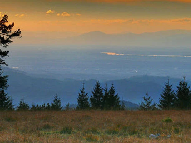 Das Naturschutzgebiet Schliffkopf. Naturschutzgebiet Schliffkopf