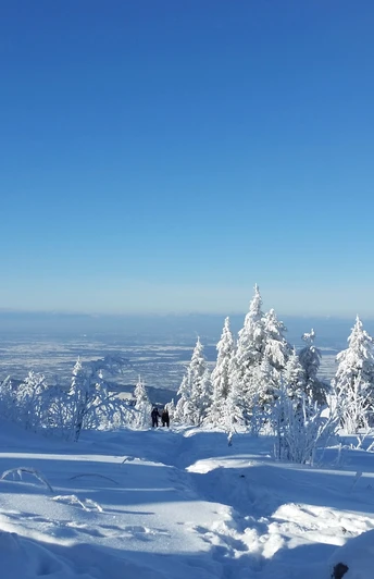 Winterlicher Ausblick von der Hornisgrinde