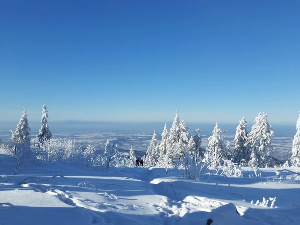 Winterlicher Ausblick von der Hornisgrinde