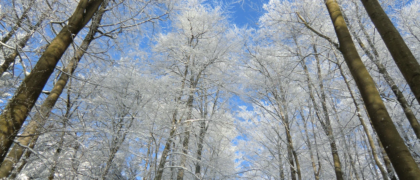 Winter in Niedenstein
