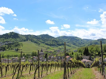 Blick durch Rebzeilen auf den Ort Waldulm. Im HIntergrund Weinberge und Wald