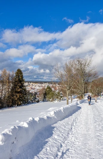 Winterwandern auf dem Kienberg