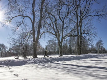 Winterwandern auf dem Kienberg Freudenstadt