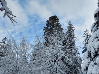 Wintermärchen am Kienberg