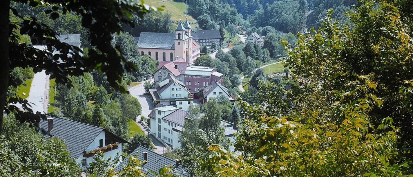 Blick auf Bad RIppoldsau