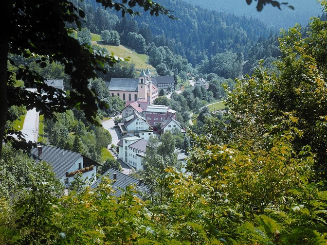 Blick auf Bad RIppoldsau