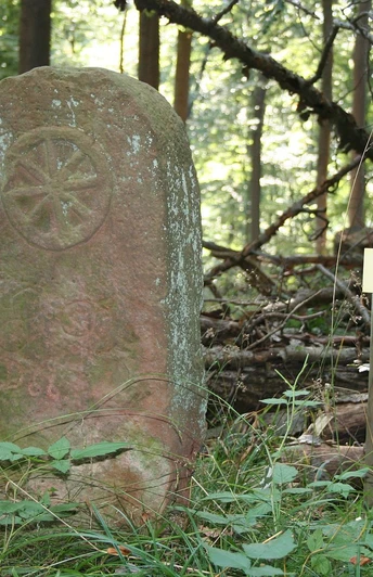 Grenzsteinpfad mit Stein 8 Naumburg Waldeck