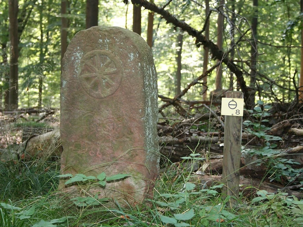 Grenzsteinpfad mit Stein 8 Naumburg Waldeck
