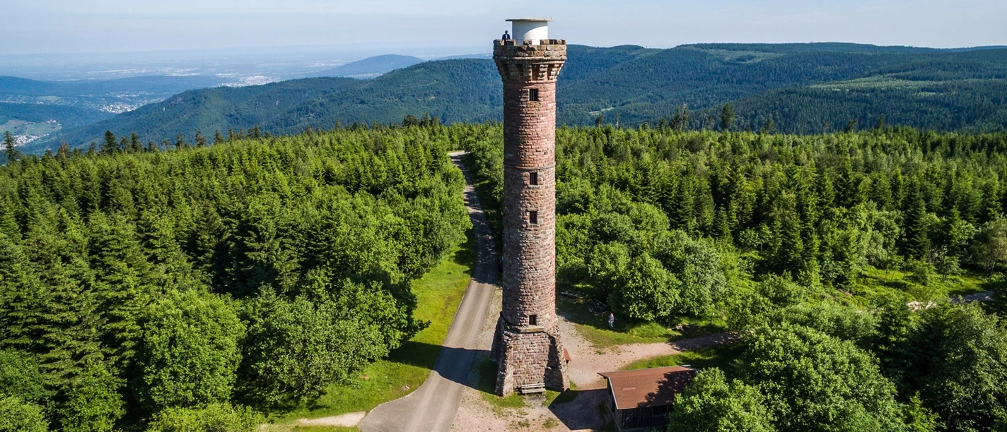Hohlohtum am Kaltenbronn