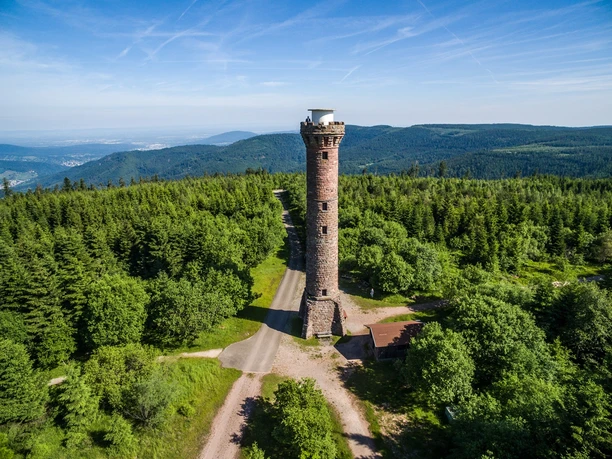 Hohlohtum am Kaltenbronn