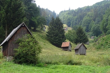 Heuhütten im Sersbachtal bei Forbach-Bermersbach